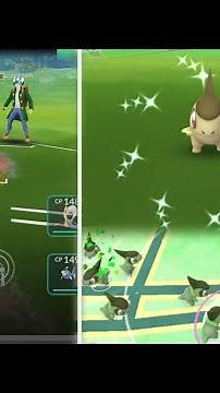 Shiny Axew com day learns breaking swipe when evolve into Haxorus!