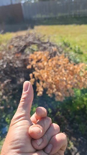 Talking rubbish 😁 | Jake Williams Sims