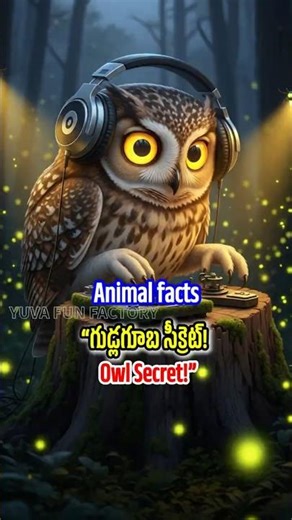 The Kings of the Night! 🦉🌙 (How do Owls see in the dark?) #Shorts #OwlFacts
