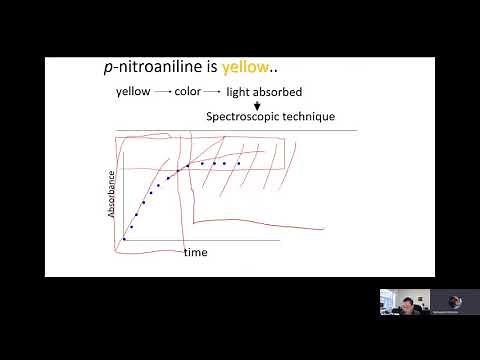 Enzyme Kinetics Experiment Explained