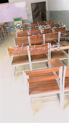 Explore SG College: Your Path to Academic Success