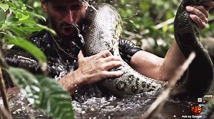Anaconda to Swallow Man Whole on Discovery Special ‘Eaten Alive’