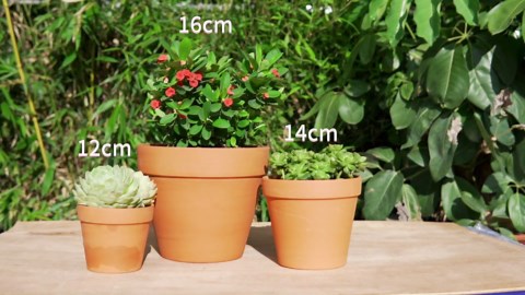 OLEEP Clay Pots - 10 Pack (5.5 inch) Large Terra Cotta Plant Pot with Drainage Hole,Garden Pots, Clay Planters Pot, Terracotta Pot for Indoor Outdoor Plant