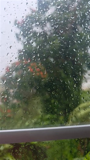 Monday update to my clients you will get a reschedule link from my assistant for any sessions booked this week. I thank you for your flexibility and prayers. The hurricane hasn't even reached yet and Our power went off last night a bit before midnight.The wind has been loud since then. This is from my O's room not sure if you can hear the whistle. Please continue to pray for all of Jamaica 🇯🇲 | Erika Vassell