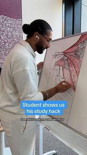 Learn Anatomy and Physiology Through Creative Drawing