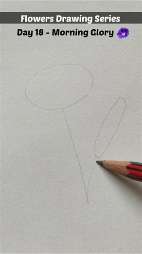Flower Drawing Series Day -18 | Morning Glory Flower Drawing Step by Step #drawing #art #sketch