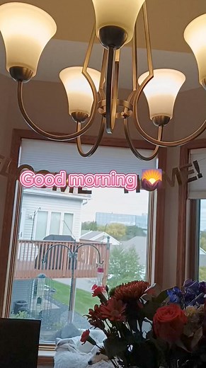 Good morning beautiful day xav tau Hmong Sister's Tea order tau wb #Minnesota | Nyab Meskas Hmoob