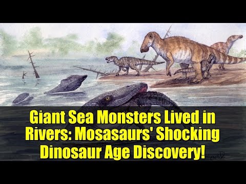 Giant Sea Monsters Lived in Rivers: Mosasaurs' Shocking Dinosaur Age Discovery!