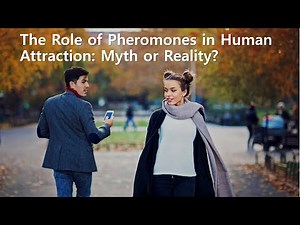 The Role of Pheromone in Human Attraction: Myth or Reality?