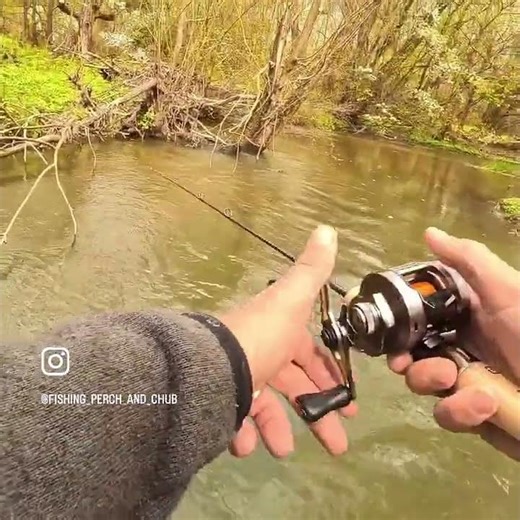 Casting practice with the finest. 🏯 Calcutta Conquest BFS #shimanofishing #bfsfishing #fishing "
