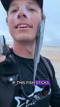 WHY Remora Fish Are SO Special! 🐟