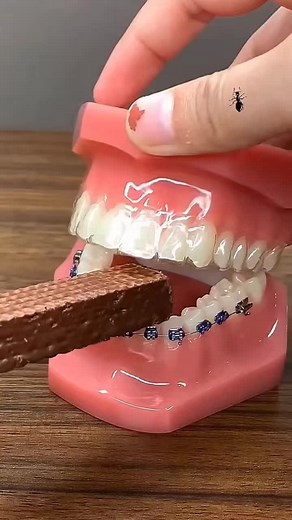 Effective Remedies to Get Rid of Teeth Pain