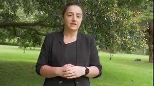 1.5K views · 67 reactions | Have you come across the Memorial Tree...