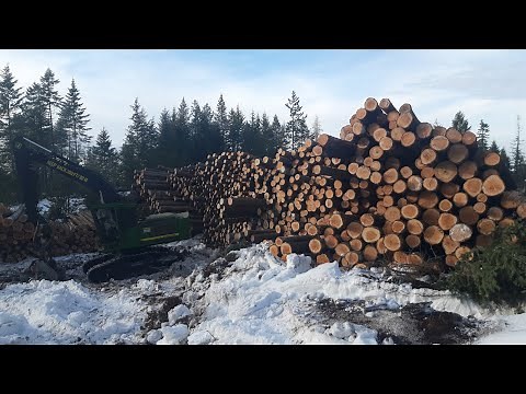 logging with a dangle head and skidder.