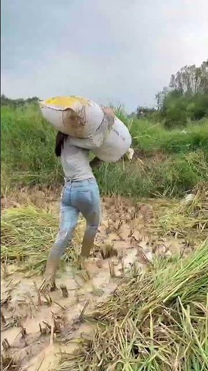 How a Beautiful Woman Lives Alone in the Countryside