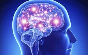 Sinapsis Química Neurotransmisores