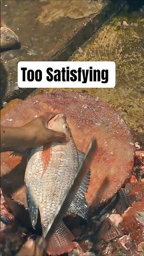 Ultimate Tilapia Cutting Skills 🔪 Fresh Fish Fillet Process | Satisfying Seafood Prep