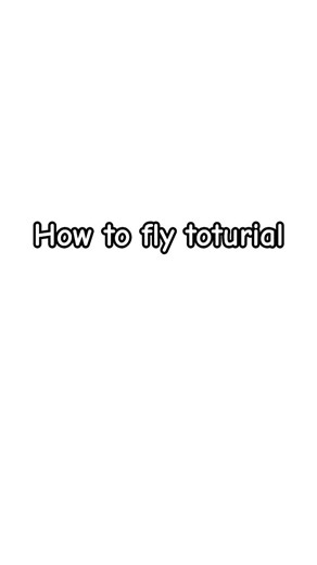 How to fly toturial