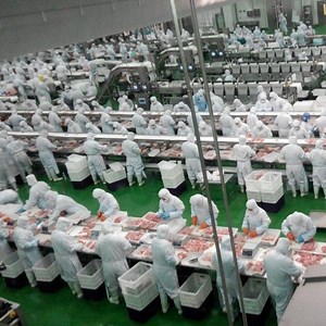 [Hot Item] Beef Meat Trimming Conveyor Line in Slaughter House
