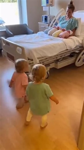 Baby Times on Instagram: "Twin Toddlers’ First Look at Quadruplet Newborns! 😍 #Quadruplets #Siblings #NewbornBabies #FamilyVlog #CuteKids"