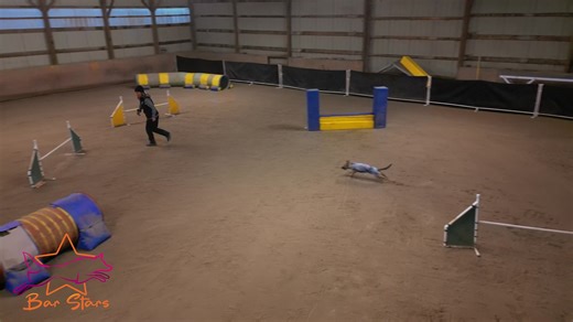 Kat and I had a super time running Lessons from AWC with Linda Saab 2025 at Bar Stars Agility Club. Lots of great information, thank you!! | Lori McLeod