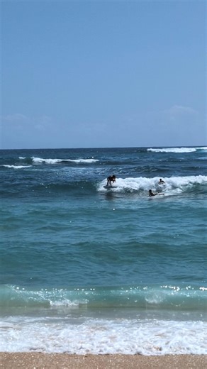 Surfing Poipu Beaches in March