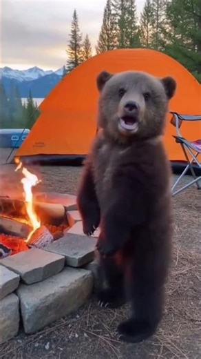 Tiny Cub, Massive Roar! 🐻