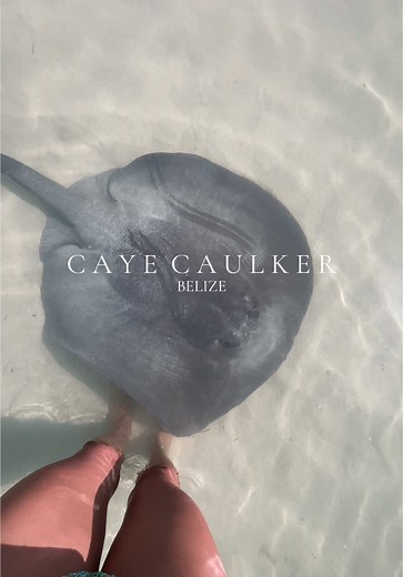 Oh to be back in paradise 🌺 #belize #travelbelize #cayecaulker #belizeisland #belizetravel #travelgoals #travelinspo #oceanlife #travel #backpack #travelling #backpackinglife #traveldiaries #traveltok #travelstory #traveling #travellover #traveltheworld #backpackbelize #explorebelize #caribbean #oceanlover #sunsetlover #islandlife #islandgirl #cayecaulkerbelize