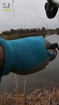 🐟 Huge Common Carp From Carrollton Texas Pond! 🎣 Bank Fishing Action with Sweet Corn, chunk bait 🌽