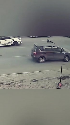 Driver Forgets Handbrake But Car Slips Perfectly to Parking Spot #facts #trendingreels #explore #Amazing #animals | Olaf Lindholm