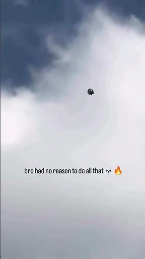 Incredible Roller Pigeon Backflips in Mid-Air! #shorts #nature #birds #pigeon