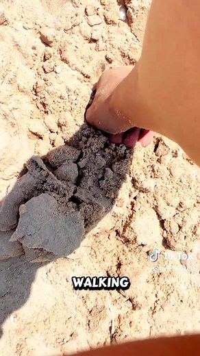 Would you risk $3,000 to do this. #part3 #pov #foryou #3000 #challenge | sleeping bear dunes