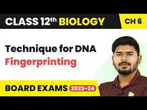 Technique for DNA Fingerprinting - Molecular Basis of Inheritance | Class 12 Biology (2022-23)