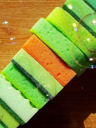 Soapy Sponge Ripping and Dry Squeezing Part 8