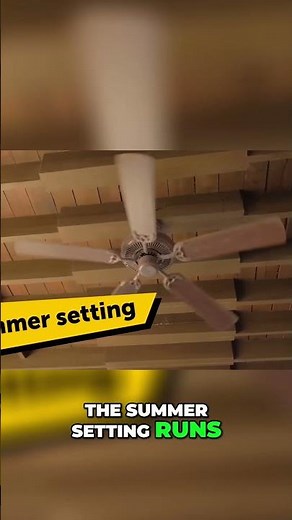 Ceiling Fan Secrets: Summer & Winter Settings Explained!