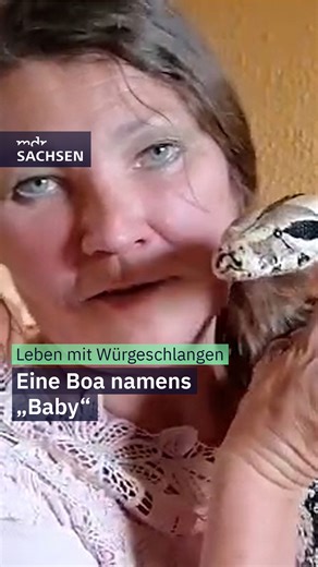 Katàri aus Dresden lebt mit fünf Boa Constrictors und einer Python zusammen. Die älteste heißt Baby und ist 27 Jahre alt. In unserem gruseligen Podcast „Unheimliche Heimat“ spricht sie über ihre enge Verbindung zu den Reptilien und das Gefühl, alte Seelen zu kennen: ➡️ https://www.ardaudiothek.de/sendung/unheimliche-heimat-gruselgeschichten-auf-der-spur/urn:ard:show:b70d79c655e7c96a/ | MDR Sachsen