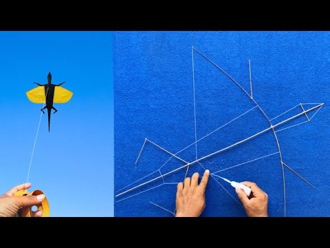 How to make a flying lizard kite from coconut stalks