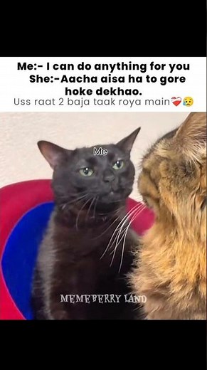 Gore #memes #meme #ytshorts #shorts #trending #funnymemes #funny #comedy #viral #MemeBerry Land #fyp