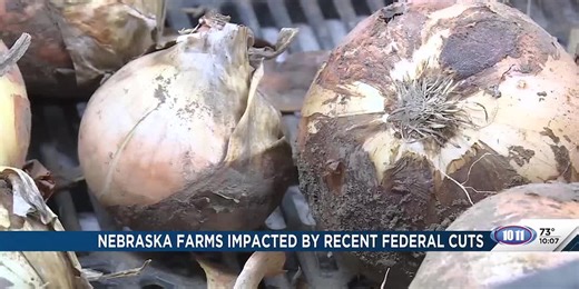 Nebraska farms impacted by recent federal cuts