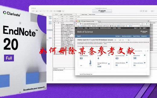 【EndNote20】- 在word中插入参考文献