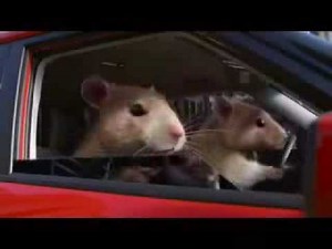 kia soul hamster commercial