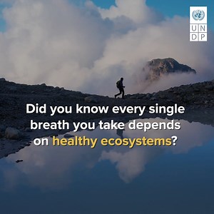 17K views · 85 reactions | Healthy land is essential for a sustainable future. Let's protect and restore land for the well-being of people and the planet. | United Nations Development Programme - UNDP | Facebook