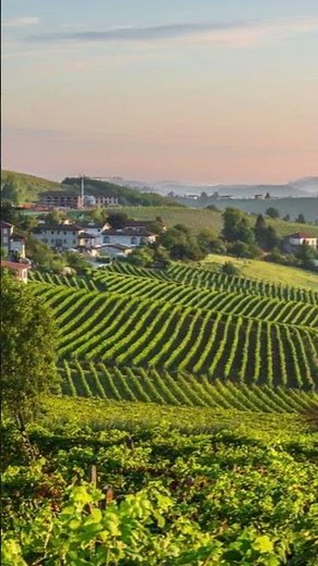 The Piedmont Region Explained