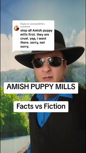 Why do people accuse the Amish of having puppy mills, when they never have pictures? It's 2025, everyone has a camera, why aren't there ever pictures with their accusations? #amish #amishpeople #amishlife #amishog #examish | Amish OG