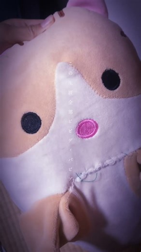 なおととおきなわのばすずきさんとねこぴーかわいいよ