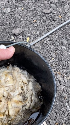 23 reactions · 9 comments | This is the best mulch for the garden! If...