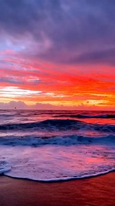 Beach, Waves, Sea. Free Stock Video