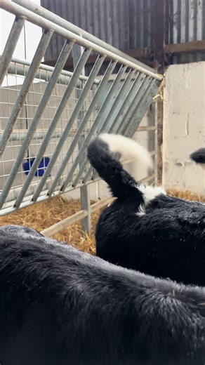 🌱🐄🥛