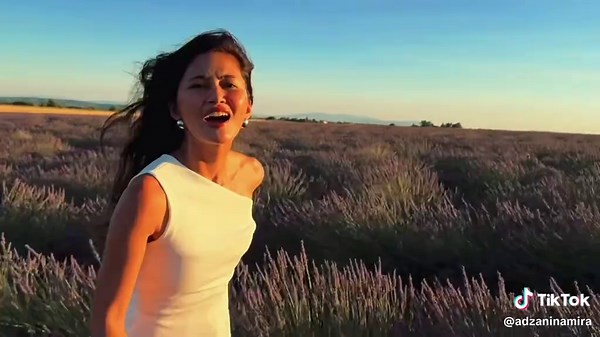Lost Among Provence Lavender Fields: A Purple Escape