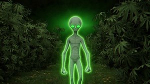 Green Glowing Alien Body Walking Into Stock Footage Video (100% Royalty-free) 1102000439 | Shutterstock